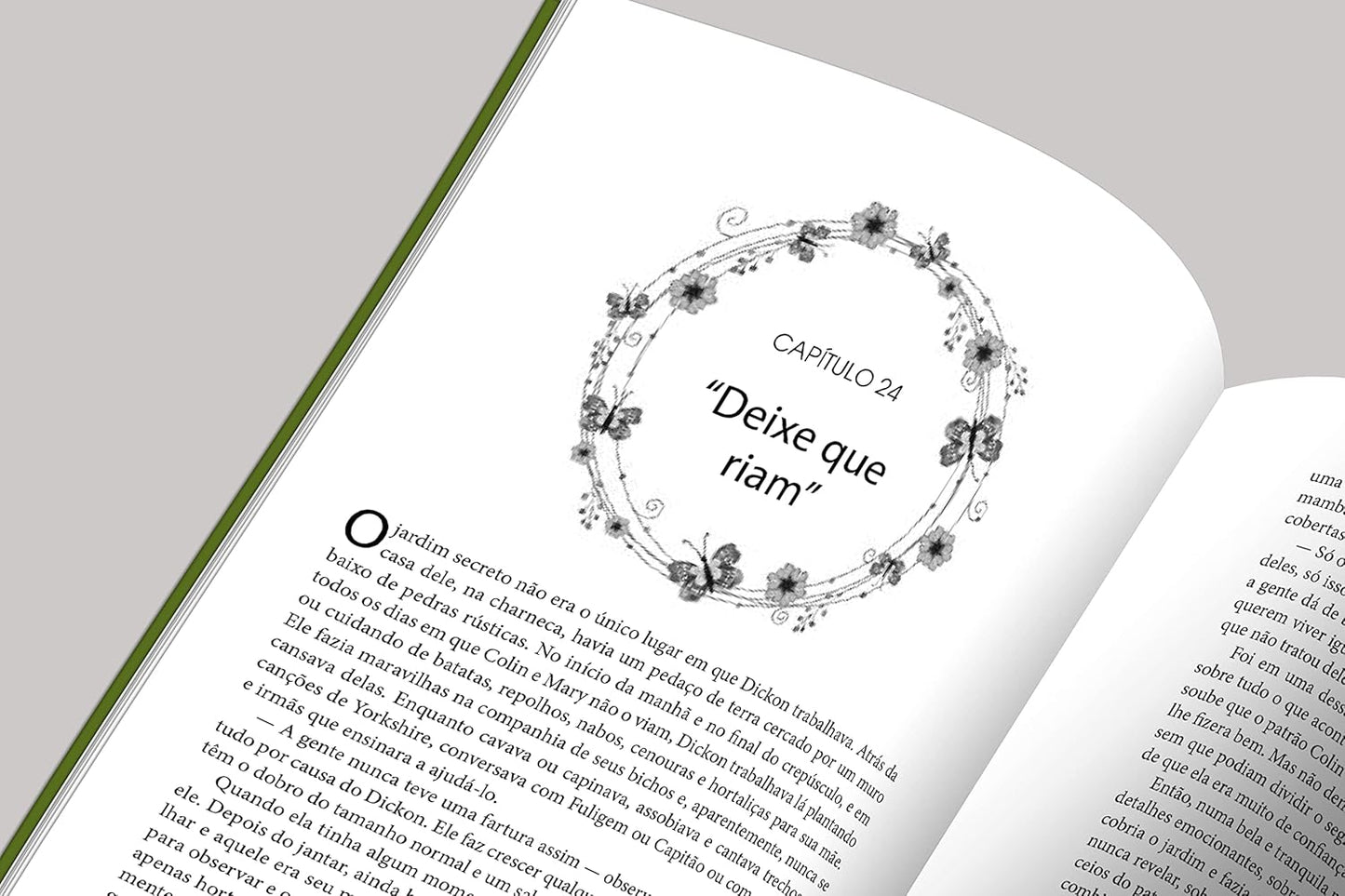 Livro O Jardim Secreto