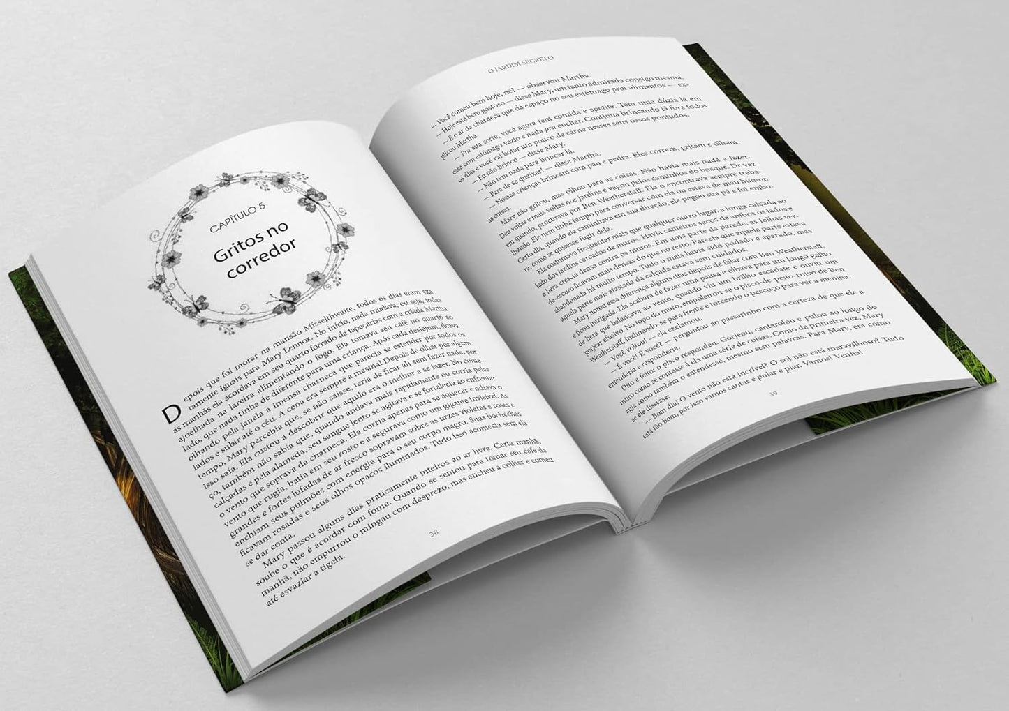 Livro O Jardim Secreto